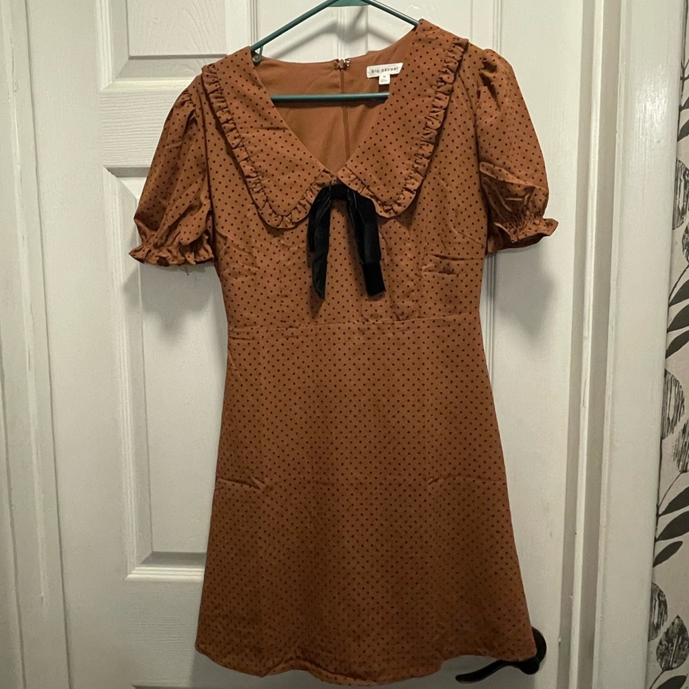 Blu Pepper Brown Polka Dot Dress with Black velvet Bow